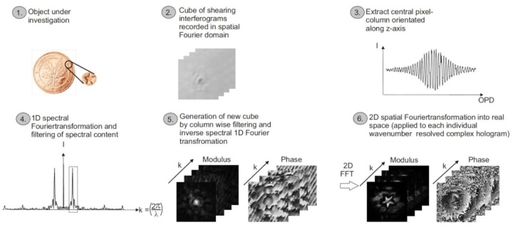 Figure 1 Flowchart diagramm displaying the different image processing steps applied to the recorded phase stepped shearing interferograms