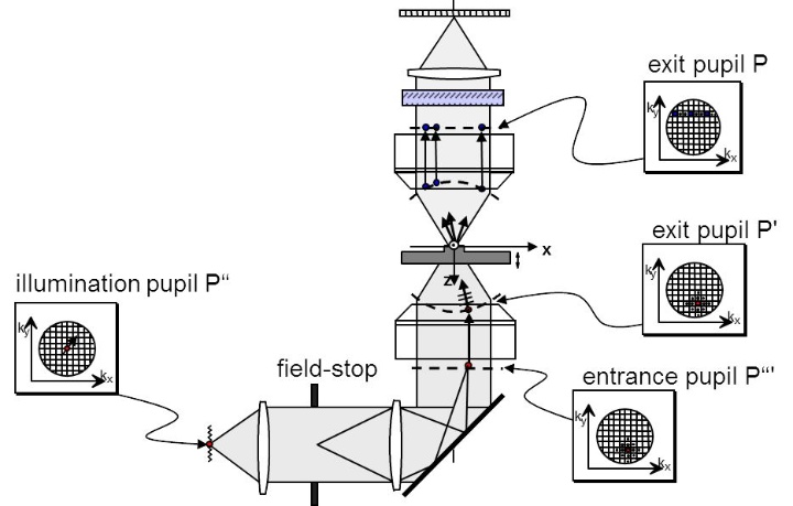 Fig. 3 Simulating the microscopic imaging
